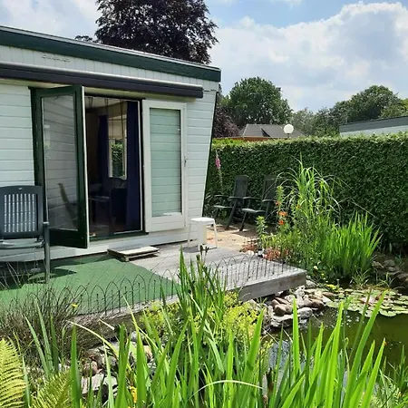 Tatil parkı Zonnig Zomerhuis Krachtighuizen