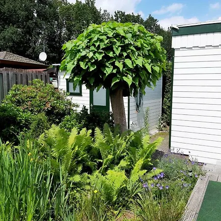 Prázdninový areál Zonnig Zomerhuis *