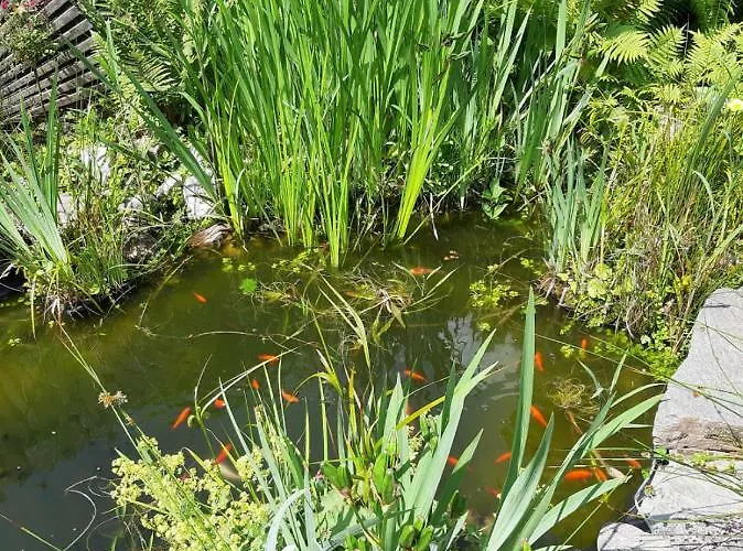 Zonnig Zomerhuis Parque de vacaciones *