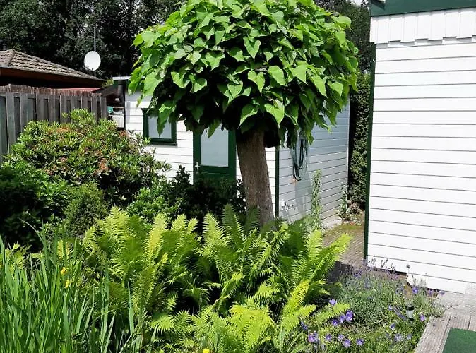 Parque de vacaciones Zonnig Zomerhuis *